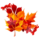 Раскраска Осенний букет